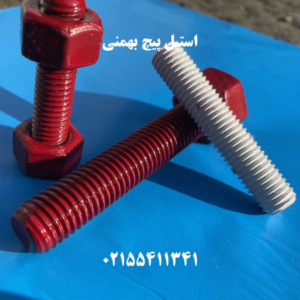 استاد بولت با پوشش رنگی