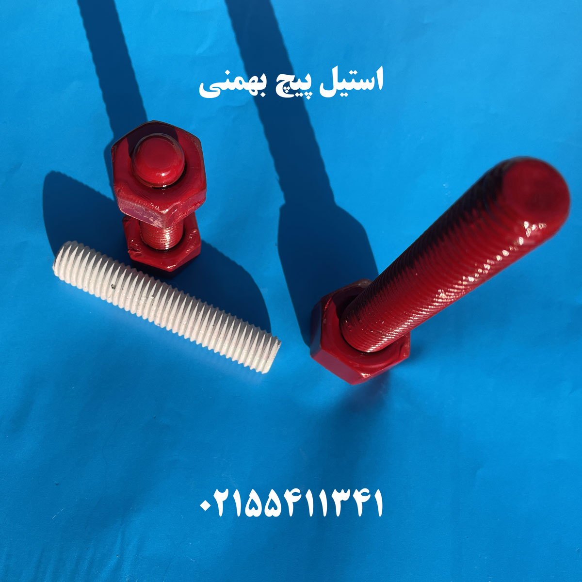 استاد بولت با مهره