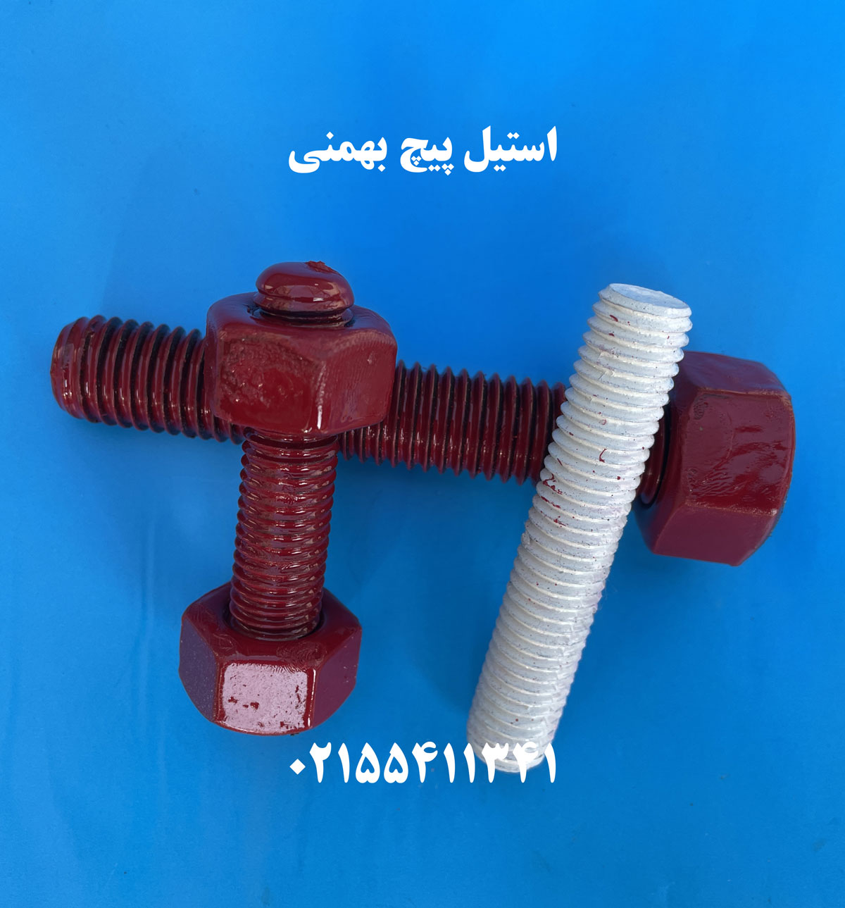 قیمت استاد بولت 1404